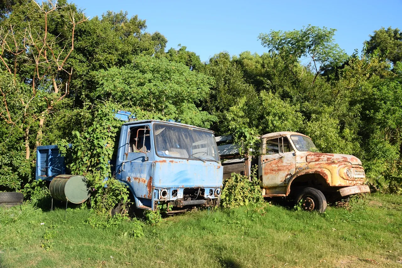 trucks, abandoned, nature, trees, rust, junk, old, broken, overgrowth. Booking junk removal jobs without gaps or overruns