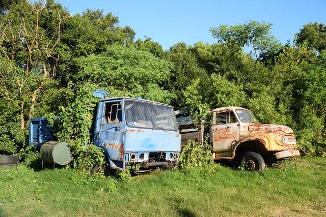 trucks, abandoned, nature, trees, rust, junk, old, broken, overgrowth. Booking junk removal jobs without gaps or overruns