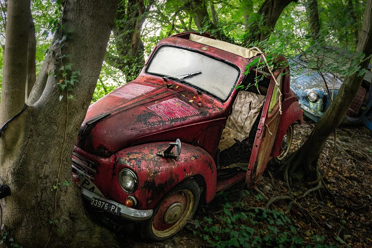 junk car, abandoned car, forest, nature, woods. Junk removal equipment checklist: a gear map for the truck