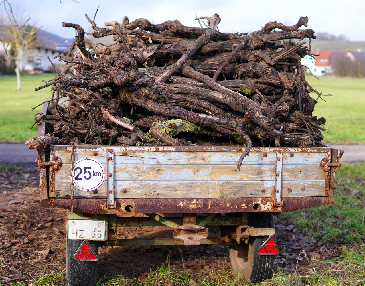 trailer, vine woods, load, woods, firewoods, agriculture, truck, trailer, trailer, trailer, trailer, trailer, load, truck. Reviewing junk removal services: strengths, gaps and a verdict