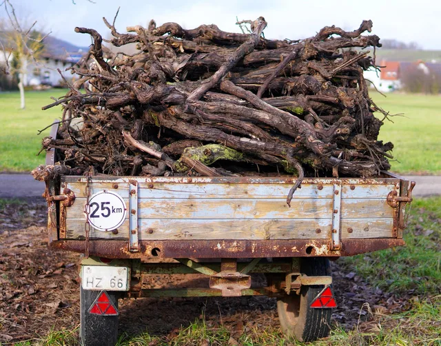 trailer, vine woods, load, woods, firewoods, agriculture, truck, trailer, trailer, trailer, trailer, trailer, load, truck. Reviewing junk removal services: strengths, gaps and a verdict