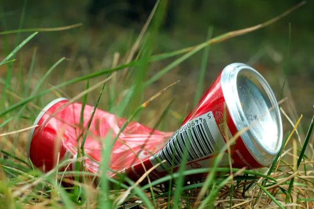 tin, forest, nature, ecology, junk, environment, waste. Standard procedures for a junk removal business, from open to close