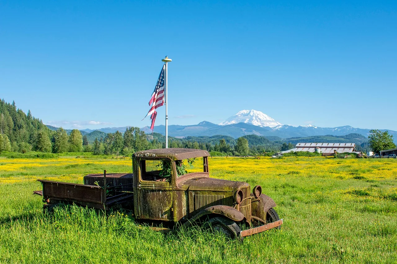 abandoned truck, field, american flag, truck, pickup truck, vehicle, old, rusty, flag, flagpole, meadow, farm, pasture, mount rainier, washington, american flag, american flag, american flag, american flag, american flag, mount rainier. Local search for a junk removal business: what to fix